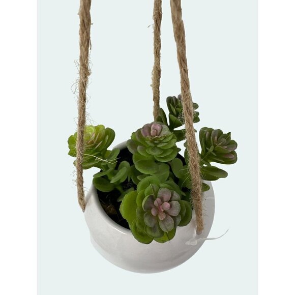 Plant Artificial Hanging Miniature Succulent Plant Faux Fake Ceramic Green White - Picture 3 of 6